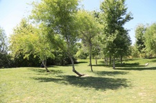 Enlarge photo 18