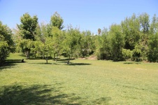 Enlarge photo 25