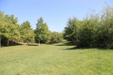 Enlarge photo 27