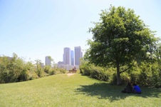 Enlarge photo 30