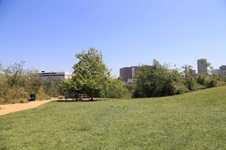Enlarge photo 31