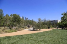 Enlarge photo 32