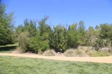 Enlarge photo 33
