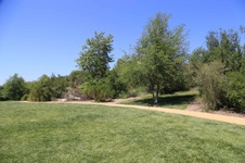 Enlarge photo 34