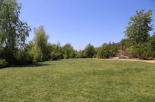 Enlarge photo 35