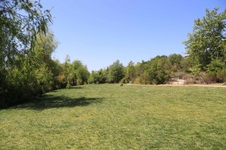 Enlarge photo 41