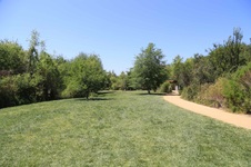 Enlarge photo 42