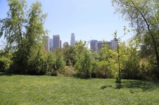 Enlarge photo 43