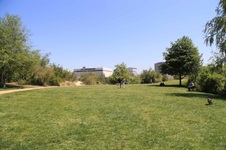 Enlarge photo 44