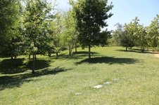 Enlarge photo 47