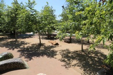 Enlarge photo 51
