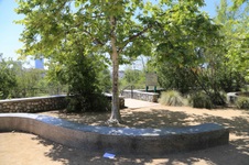 Enlarge photo 66