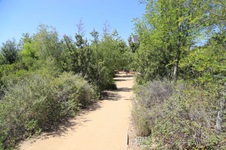 Enlarge photo 67