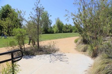 Enlarge photo 70