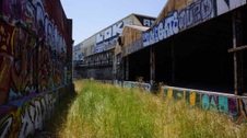 Enlarge photo 35