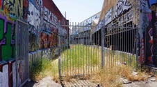 Enlarge photo 49