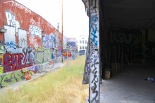 Enlarge photo 59