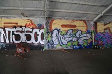Enlarge photo 67