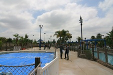 Enlarge photo 22