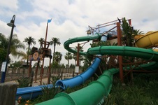 Enlarge photo 37