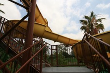 Enlarge photo 39