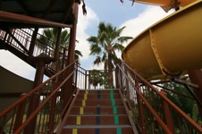Enlarge photo 40