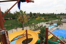 Enlarge photo 53