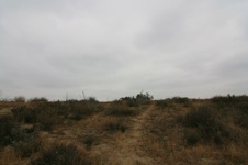 Enlarge photo 25