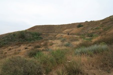 Enlarge photo 22