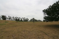 Enlarge photo 46