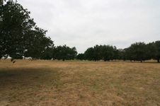 Enlarge photo 45