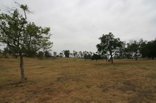 Enlarge photo 44