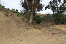 Enlarge photo 37