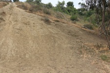 Enlarge photo 36