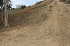 Enlarge photo 35