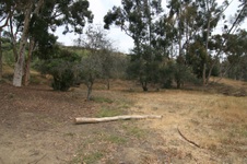 Enlarge photo 34