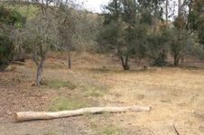 Enlarge photo 33