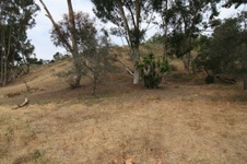 Enlarge photo 32