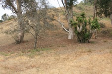 Enlarge photo 31