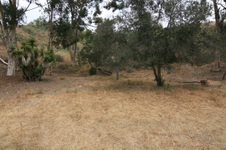 Enlarge photo 30