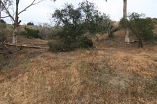 Enlarge photo 29