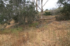 Enlarge photo 28