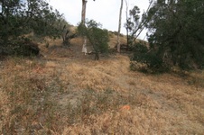 Enlarge photo 27