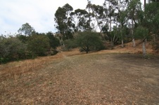 Enlarge photo 26
