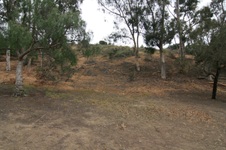 Enlarge photo 25