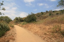 Enlarge photo 15