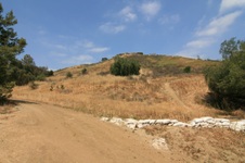 Kenneth Hahn Park