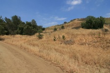 Enlarge photo 1