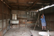 Enlarge photo 67