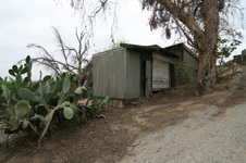 Enlarge photo 62